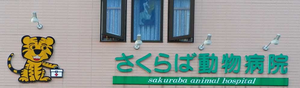 さくらば動物病院