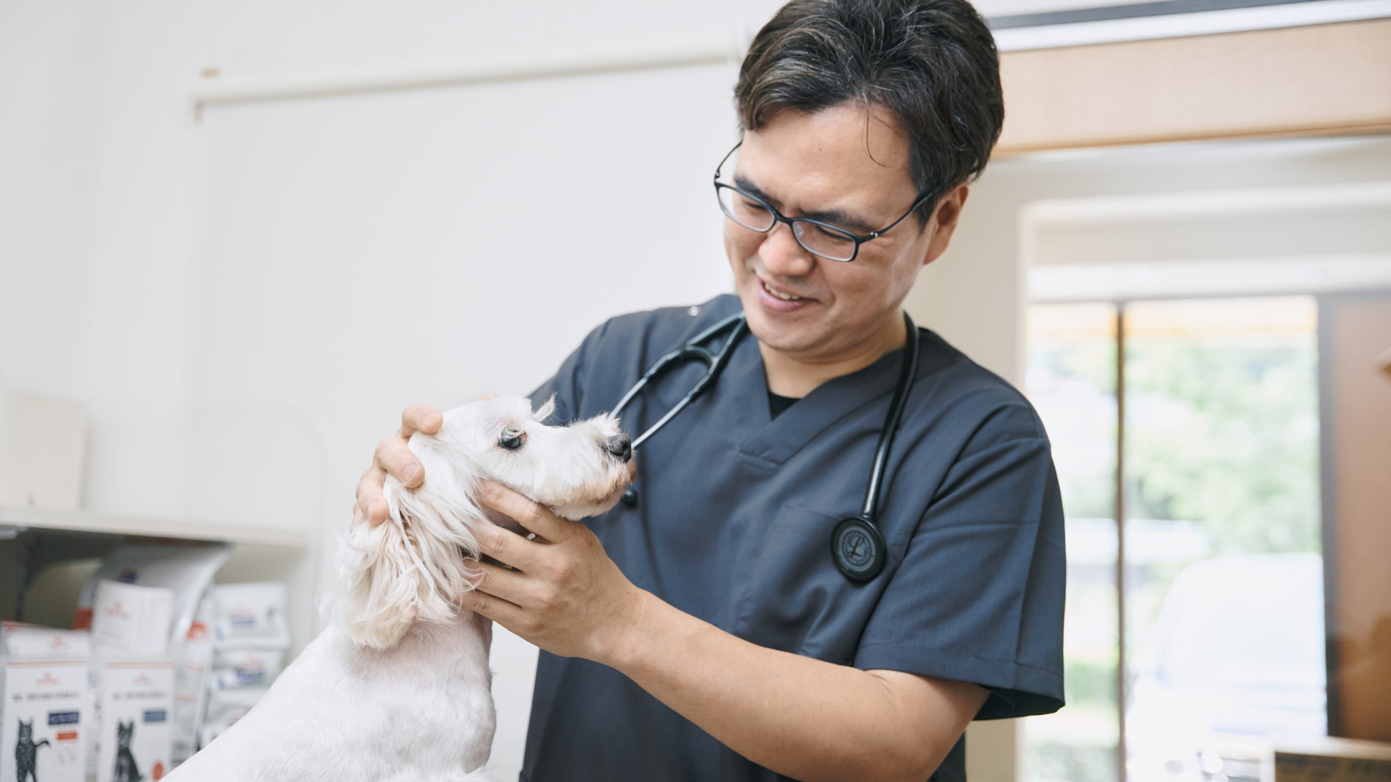 多摩クラーク動物病院