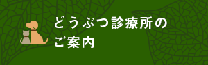 那須の森どうぶつ診療所