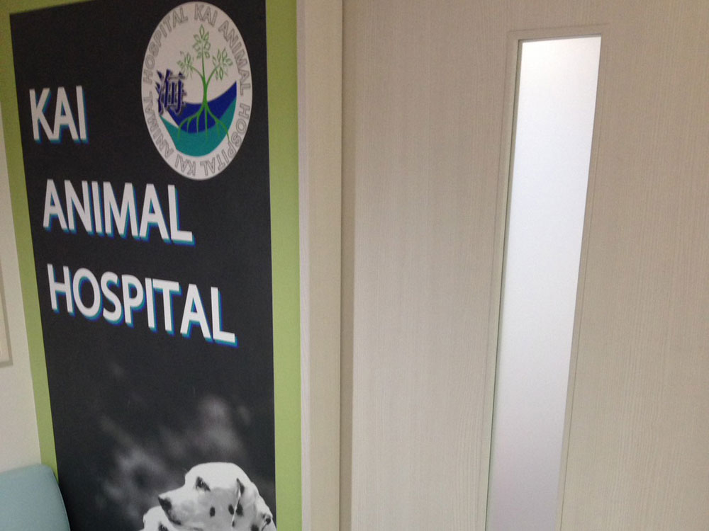 海動物病院　神戸三宮往診所