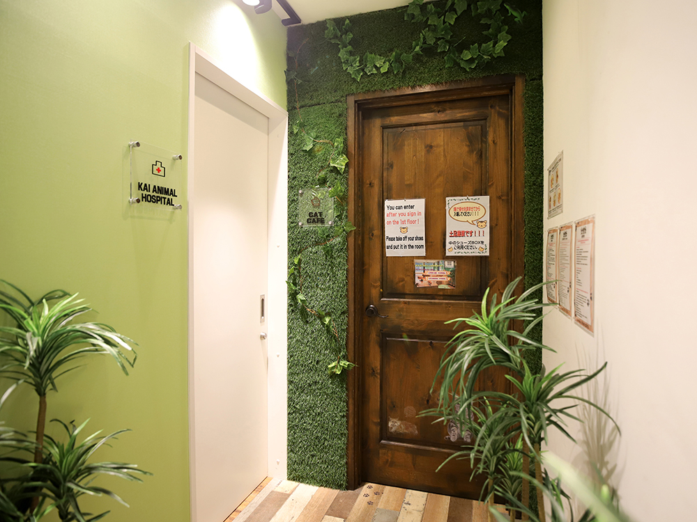 海動物病院　赤坂往診所