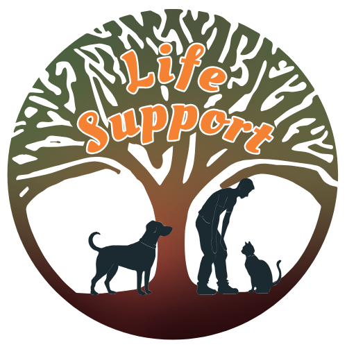 北摂ライフサポート動物病院