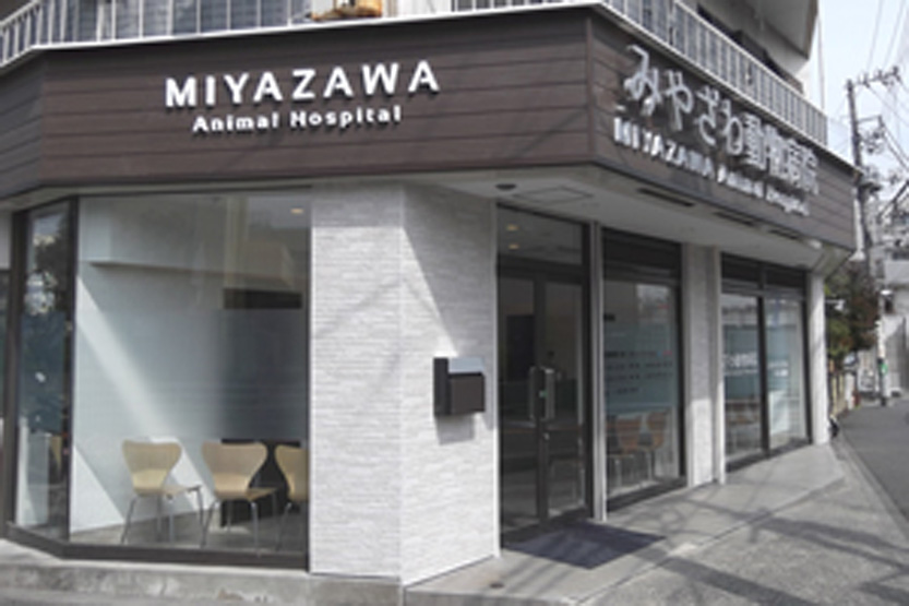みやざわ動物病院
