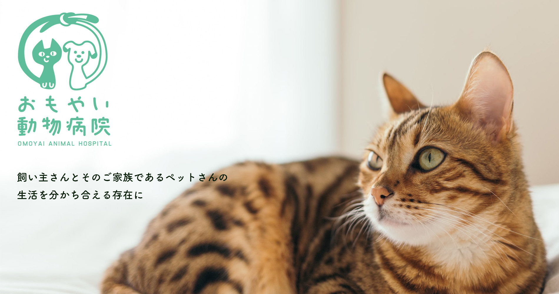 おもやい動物病院