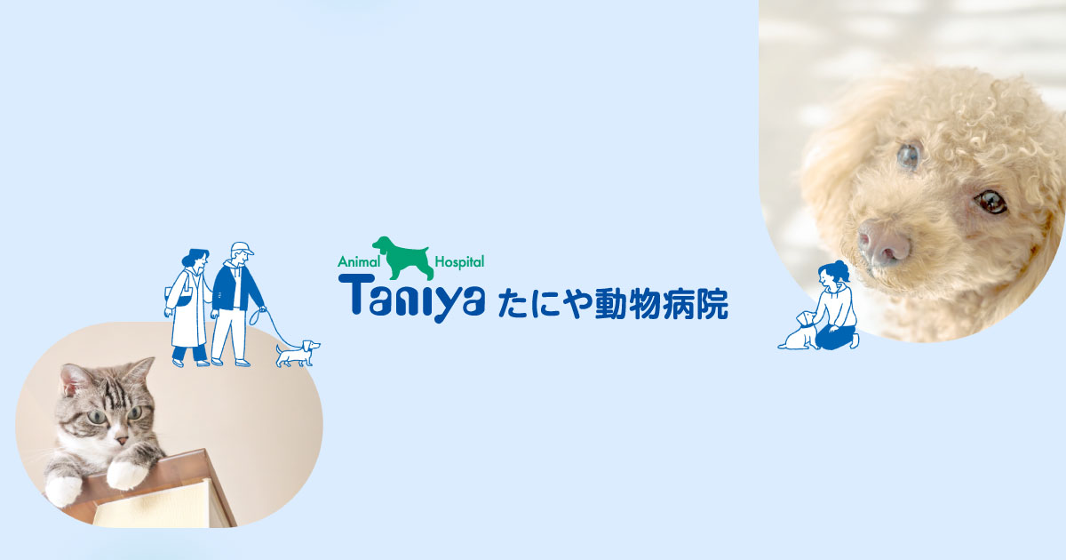 たにや動物病院