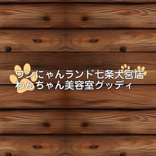 ワンにゃんランド　京都駅西店