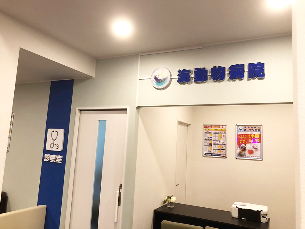 海動物病院　小山往診所
