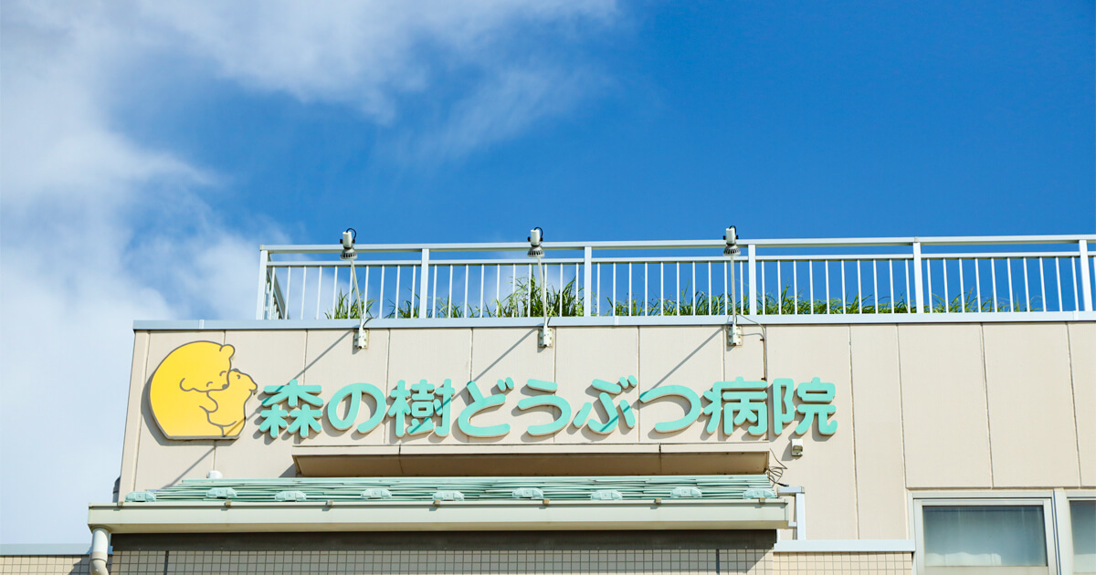 森の樹どうぶつ病院