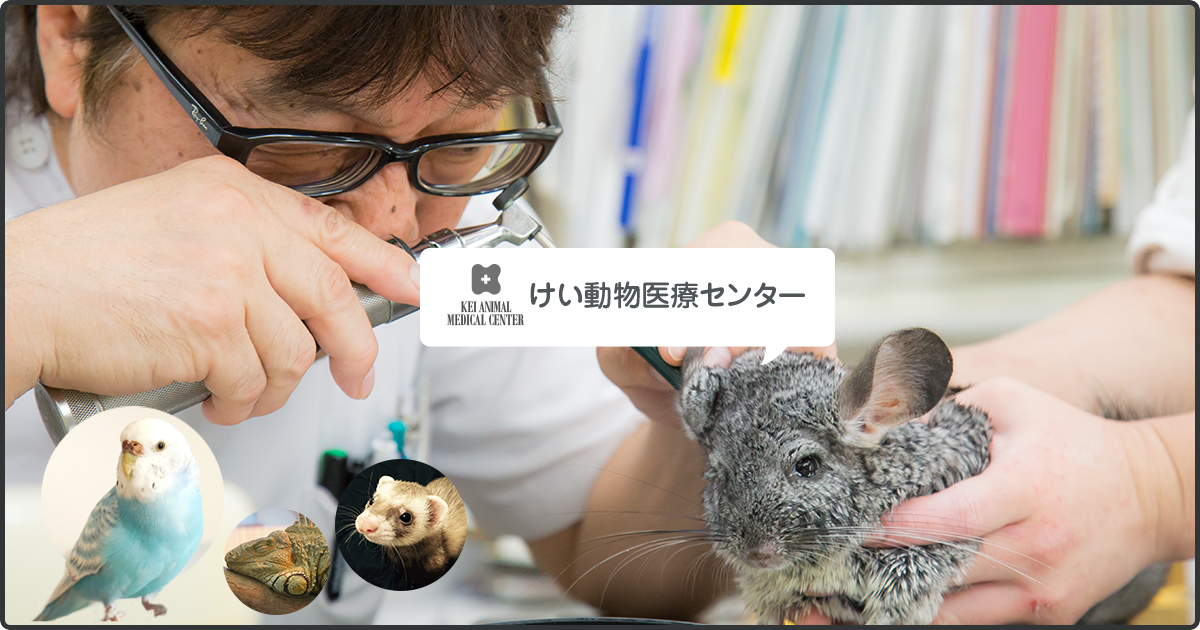けい動物医療センター