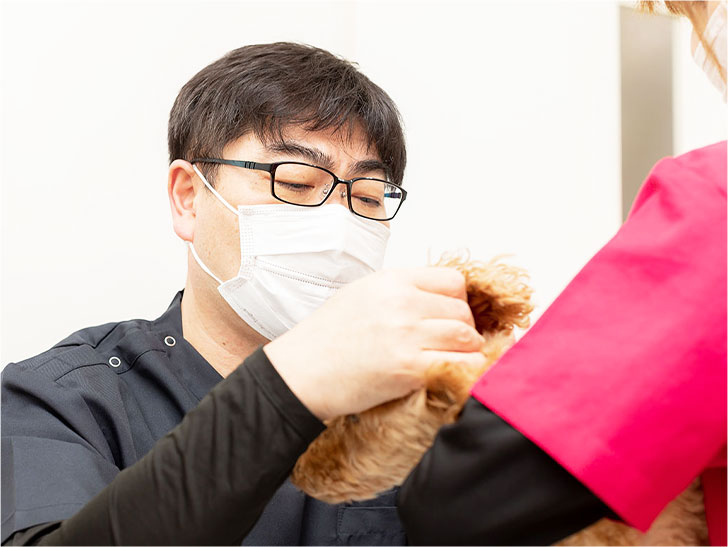 たかやま動物病院