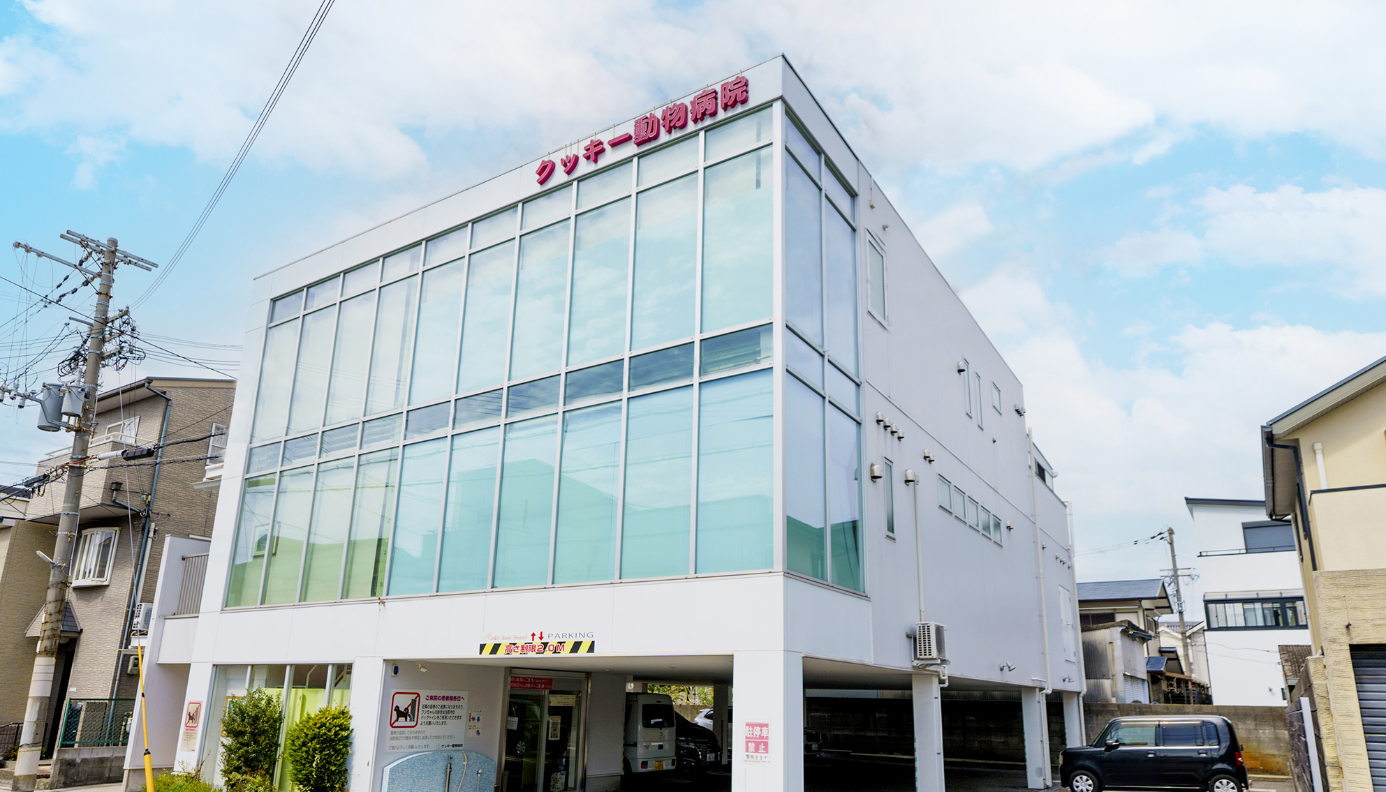 クッキー動物病院