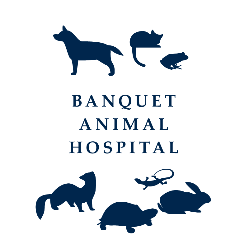 ヴァンケット動物病院 三宿動物医療センター