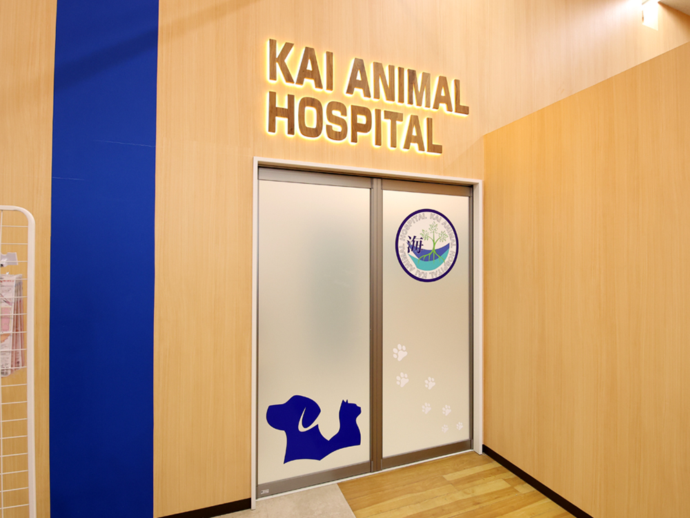 海動物病院　福岡古賀往診所