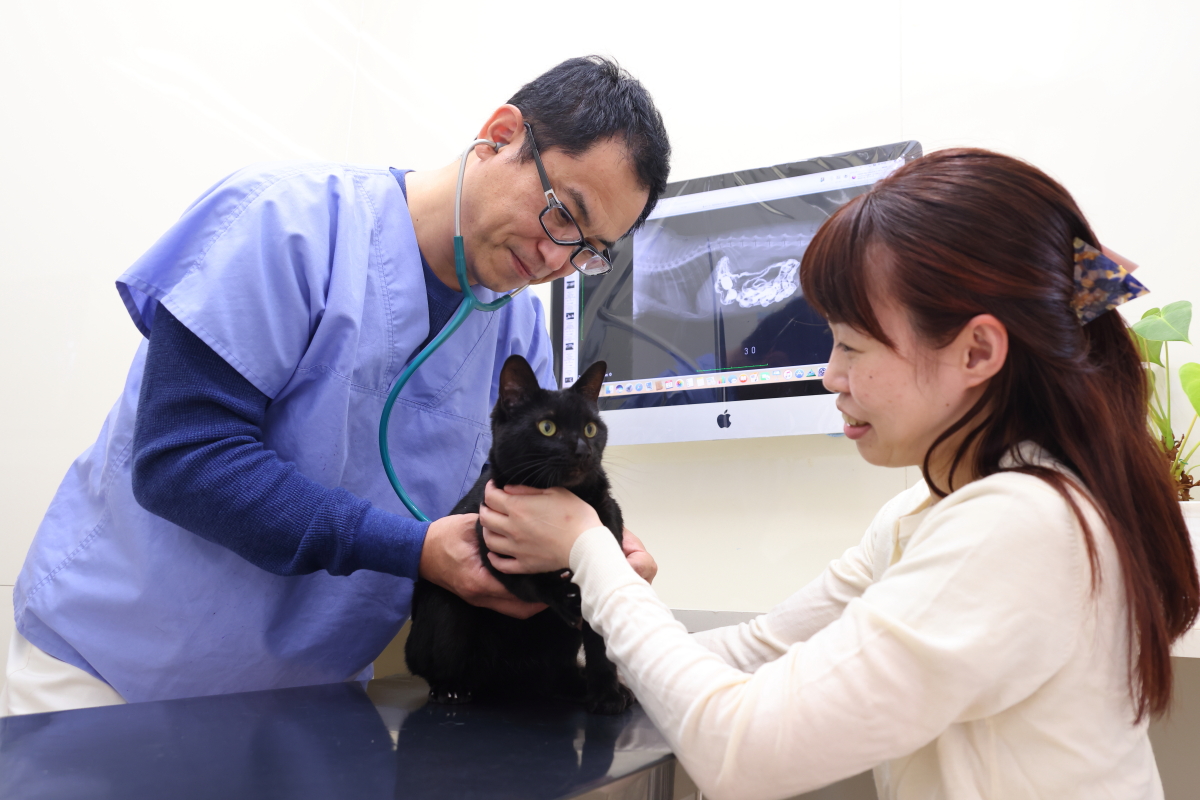 フィル動物病院