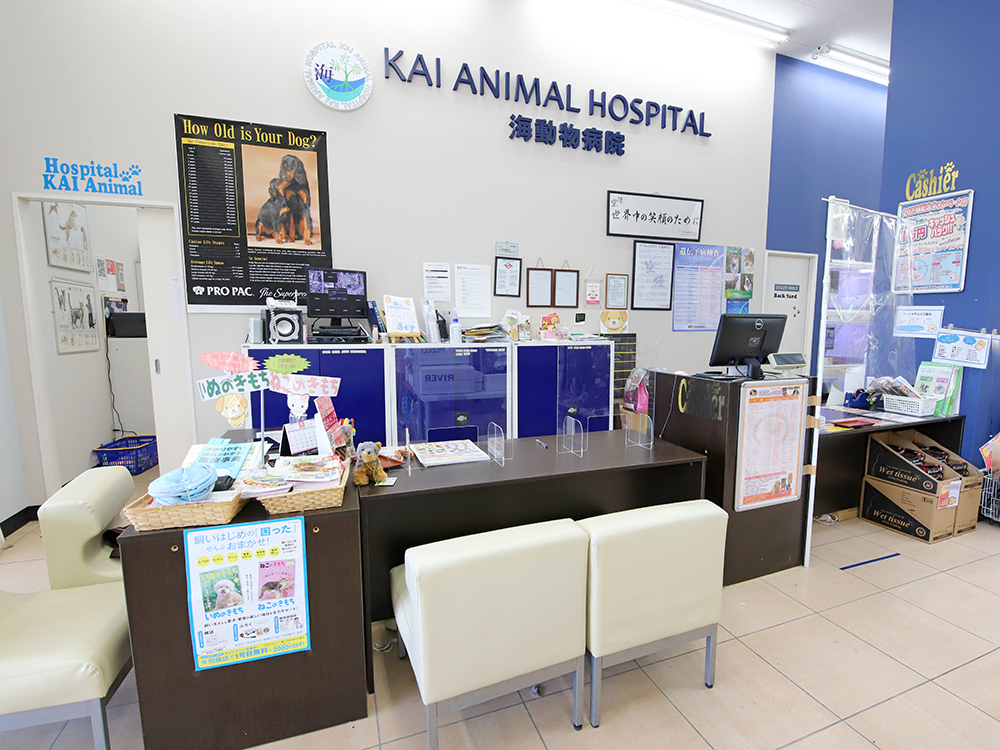 海動物病院　フレスポ稲毛往診所
