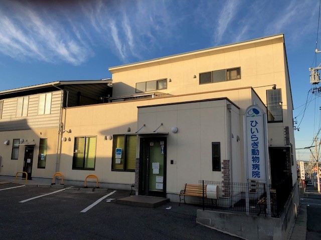 ひいらぎ動物病院