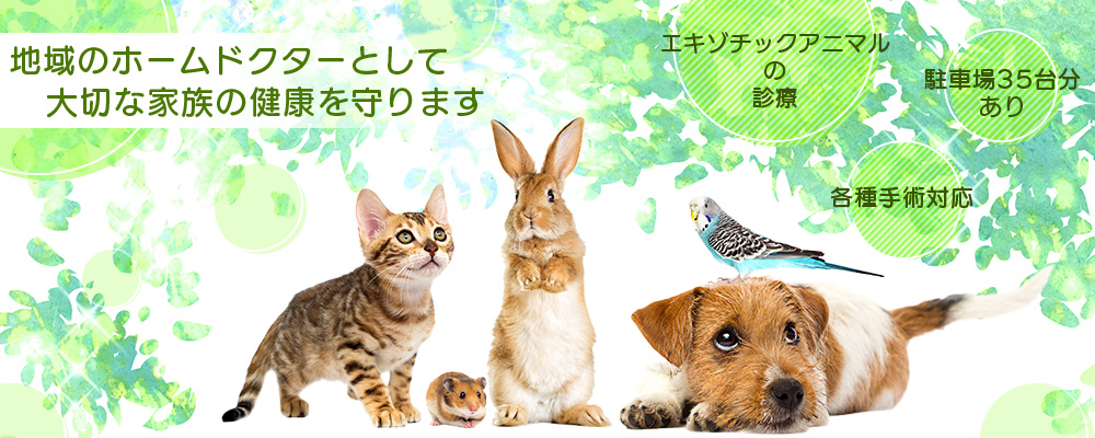 すぎやま動物クリニック