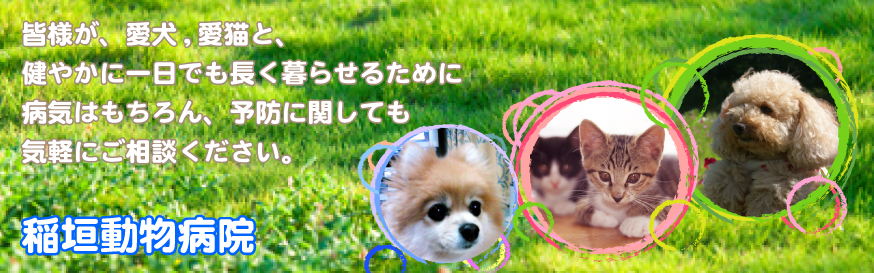 稲垣動物病院