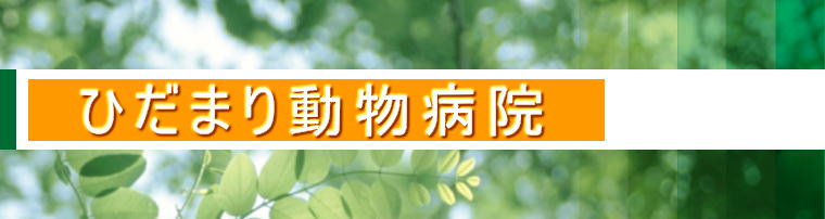 ひだまり動物病院