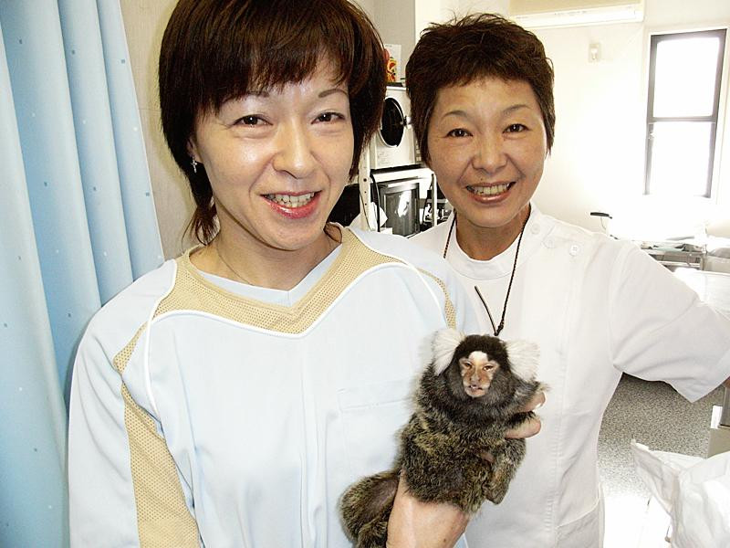 たけだペットクリニック