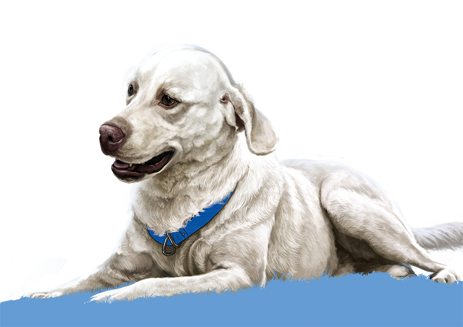 横浜山手犬猫医療センター