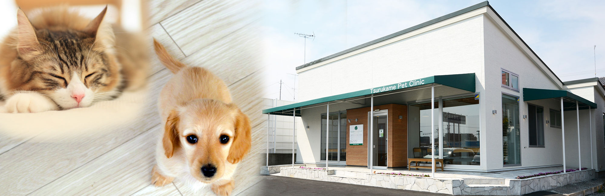 つるかめペットクリニック