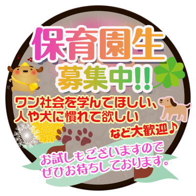 ドギーパレス　神戸ポートタワーホテル店