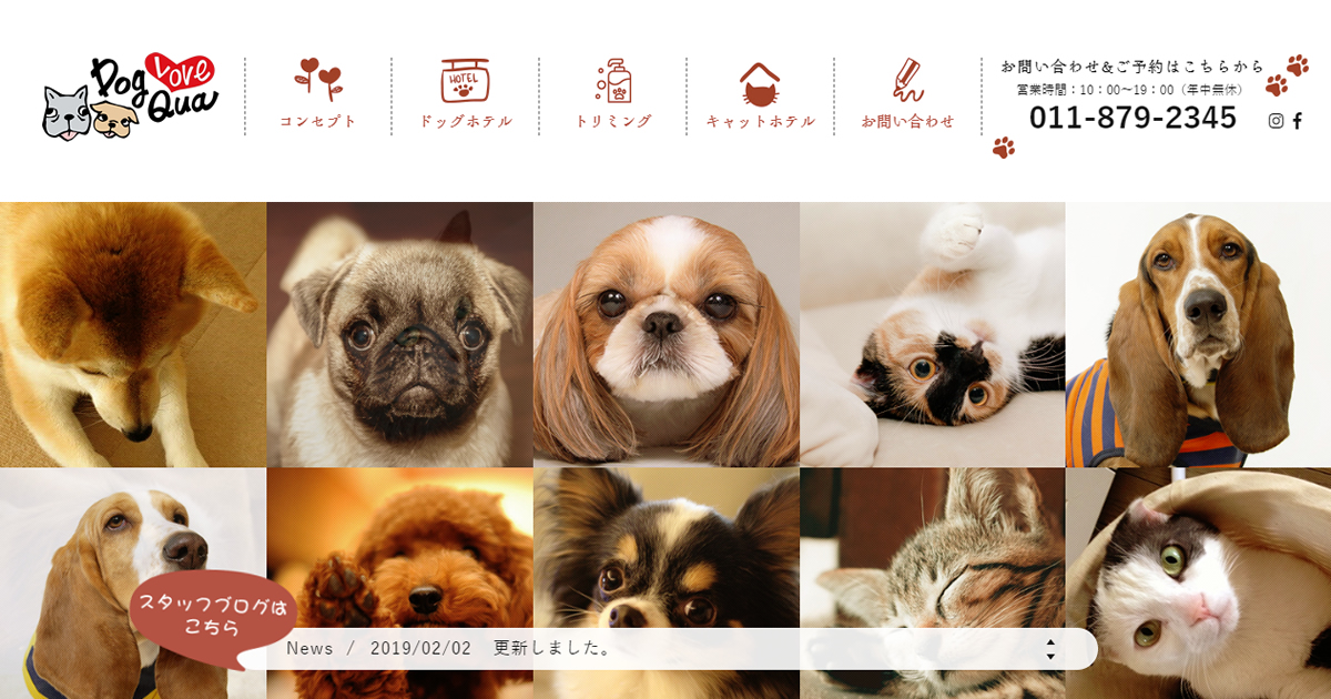 ドッグ･ラブ･クオ