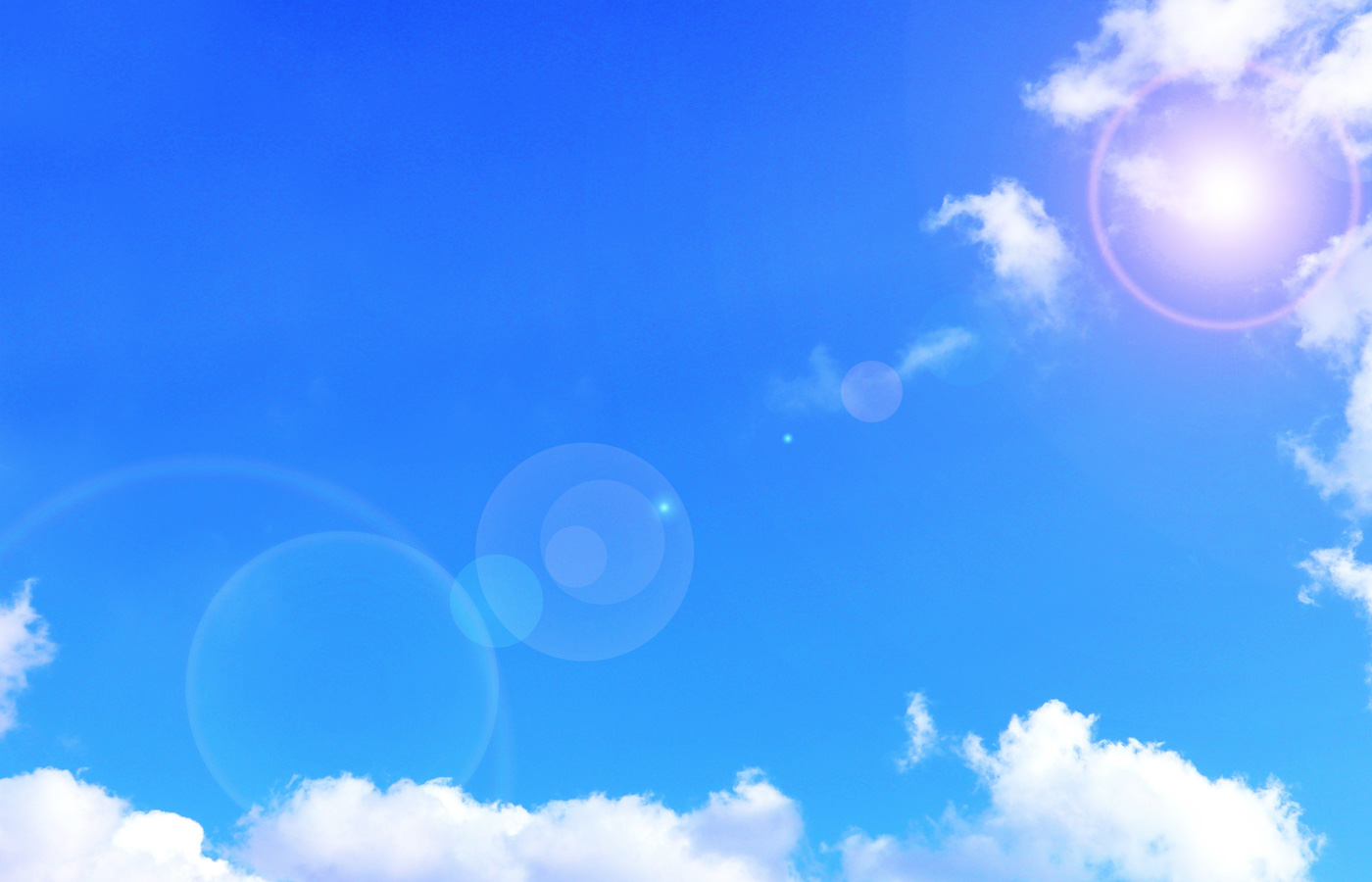 里見どうぶつ病院