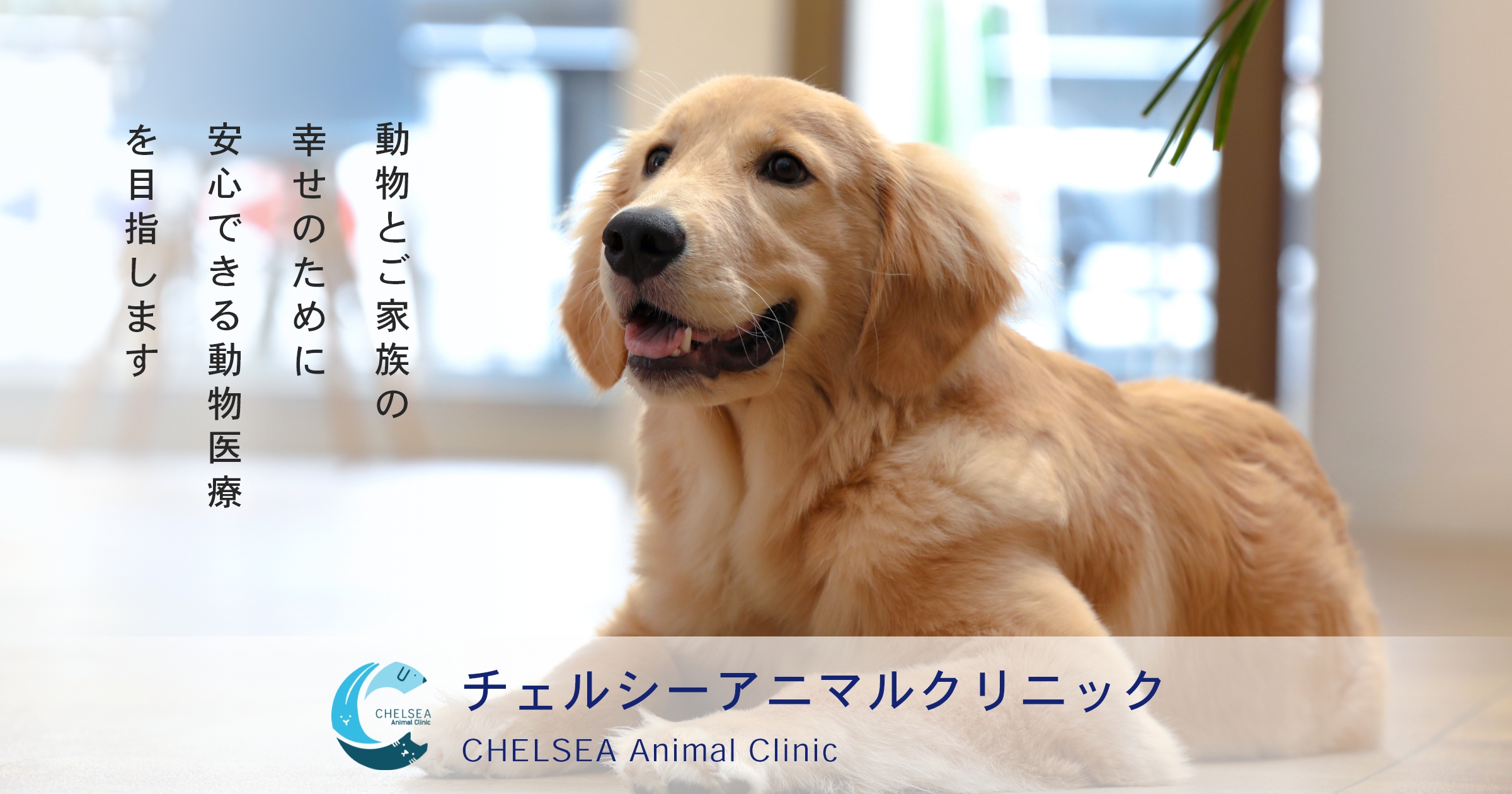 チェルシーアニマルクリニック
