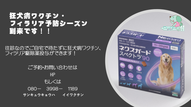 ルーキー動物病院