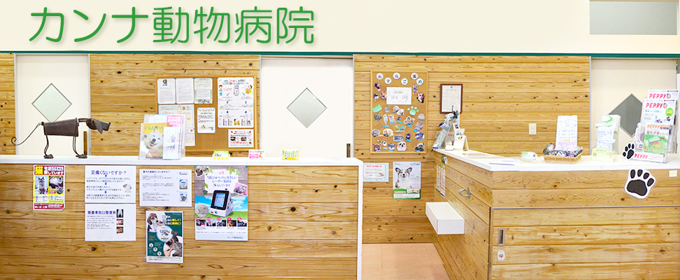 カンナ動物病院