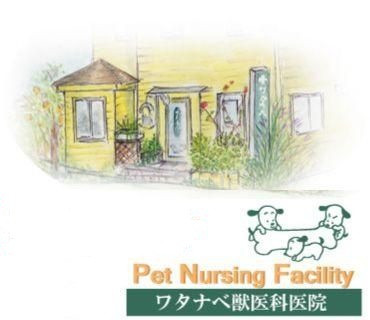 ワタナベ獣医科医院