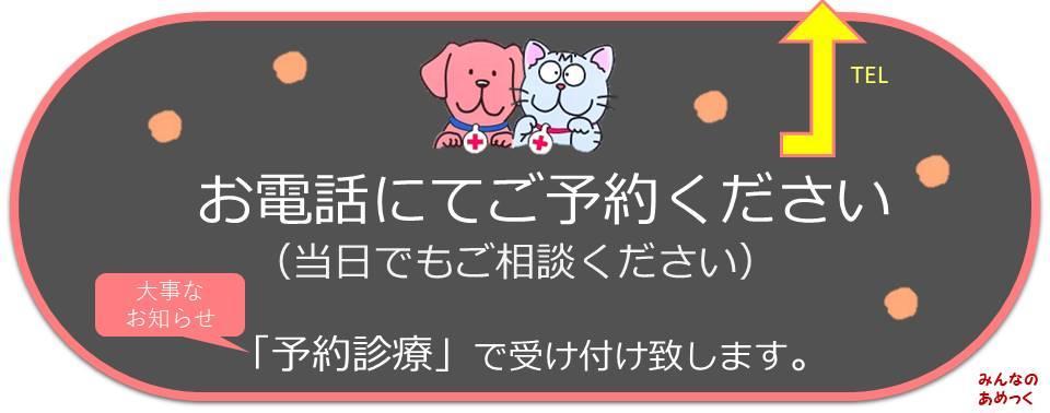 アメック杉並動物病院