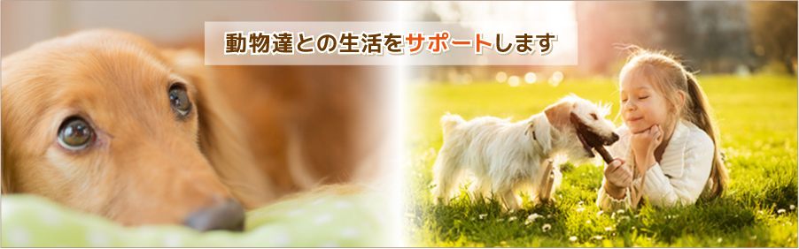 パール動物病院