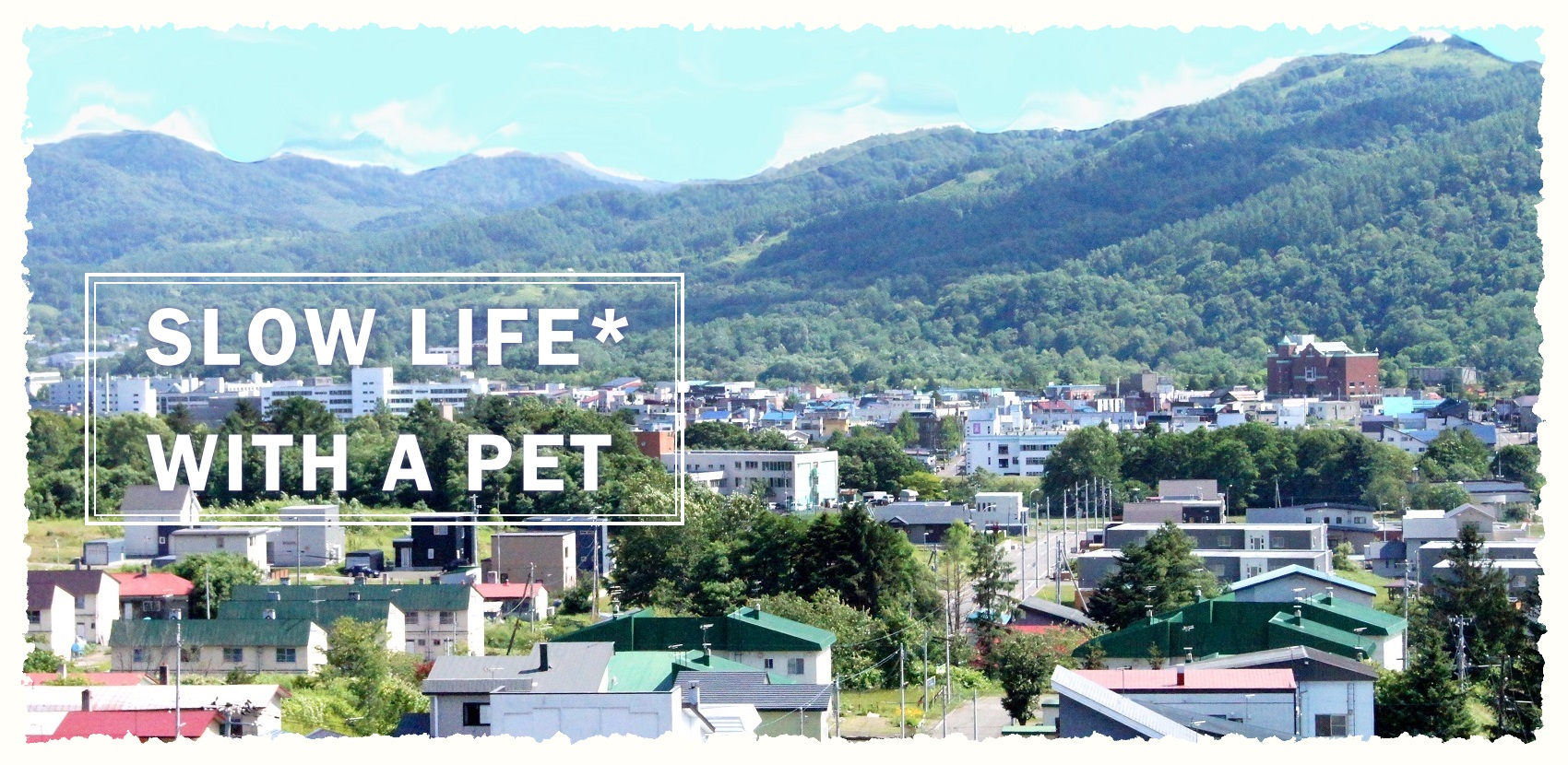 あかびら動物病院