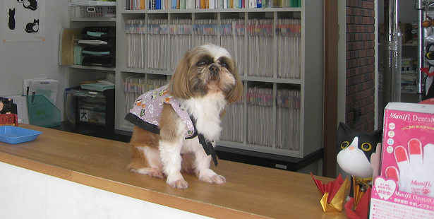 つきさっぷ動物病院