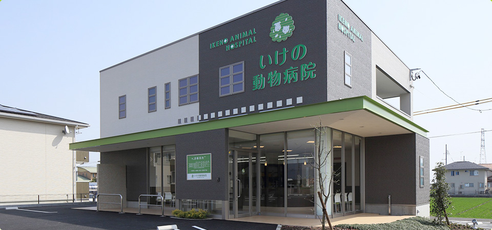 いけの動物病院