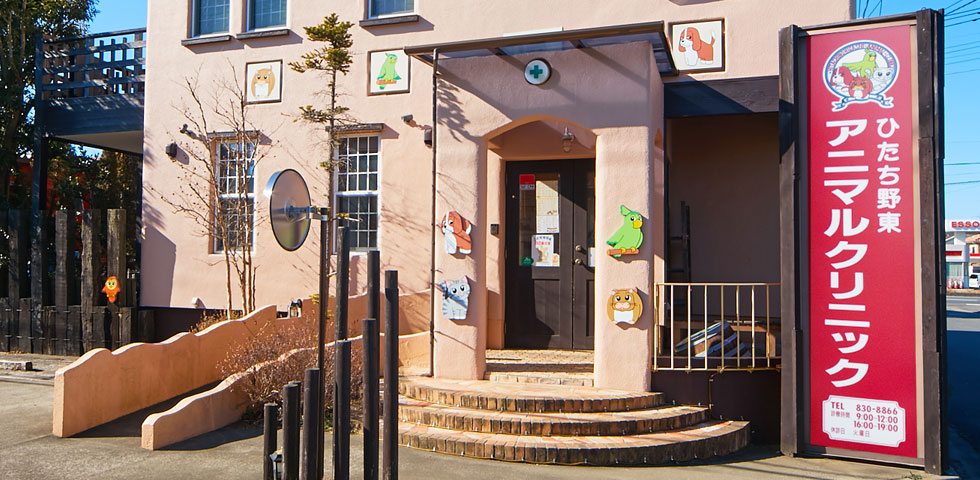 ひたち野東アニマルクリニック