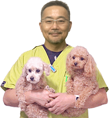 バディ動物病院