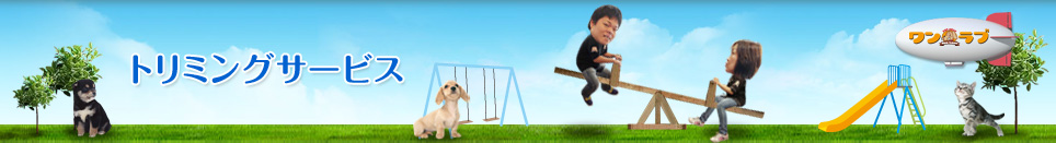 ワンラブ アリオ川口店