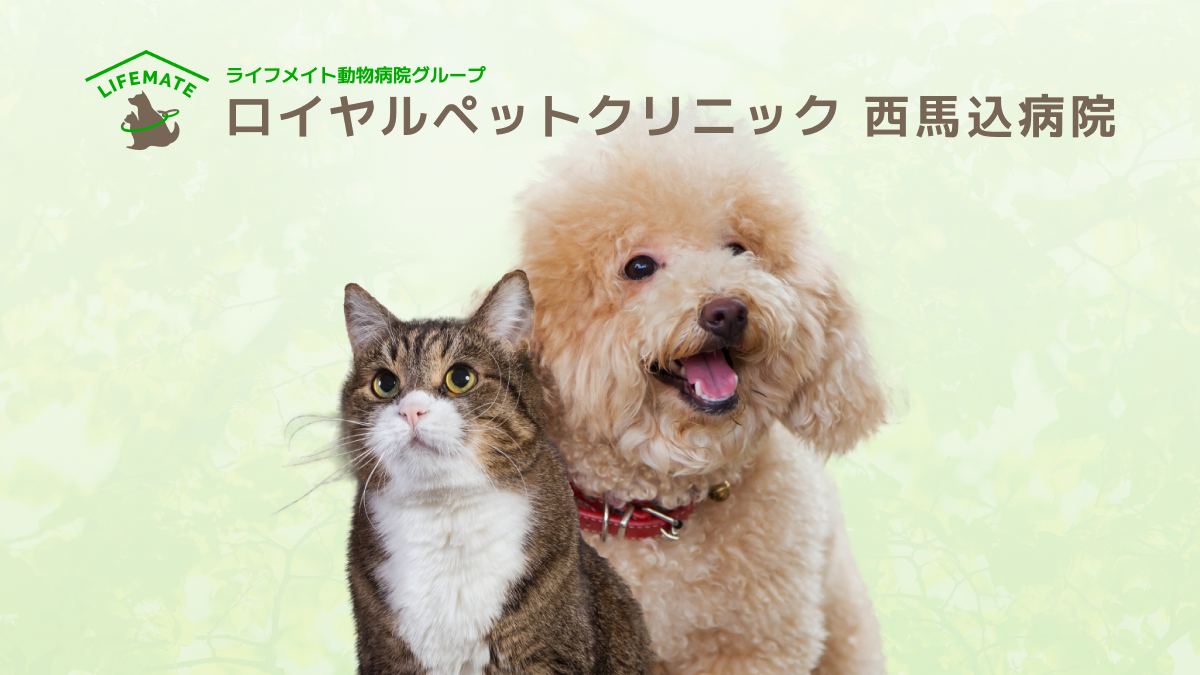 ロイヤルペットクリニック 西馬込本院
