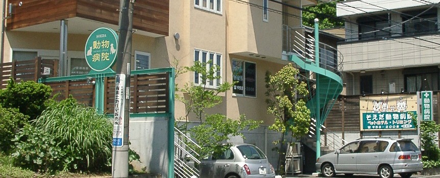 そえだ動物病院