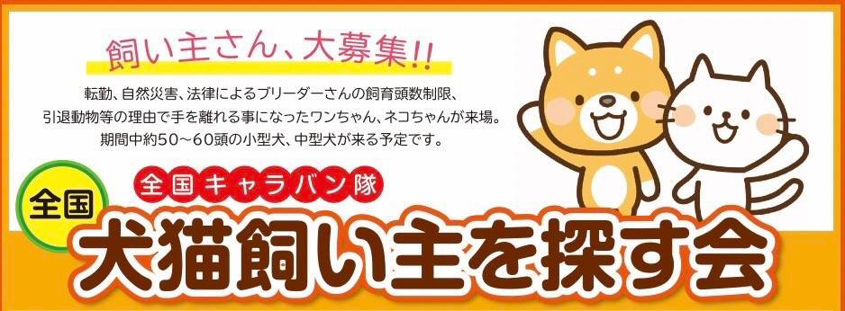 キューティードッグ 手稲店