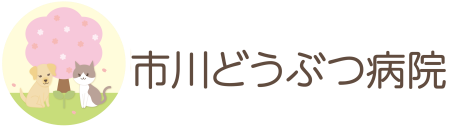 市川どうぶつ病院
