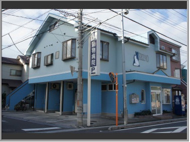 セイノ動物病院