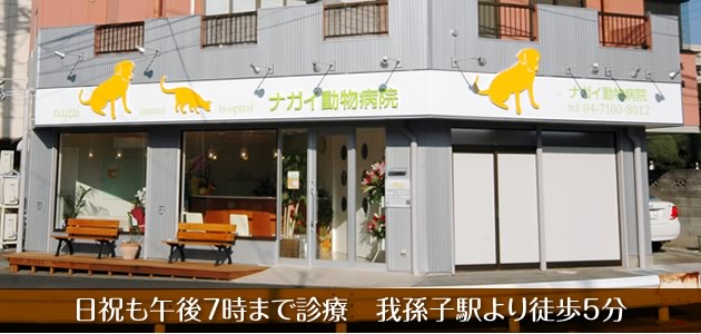 ナガイ動物病院
