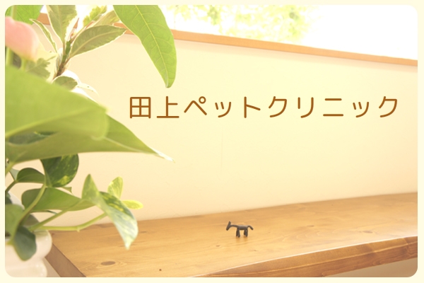 田上ペットクリニック