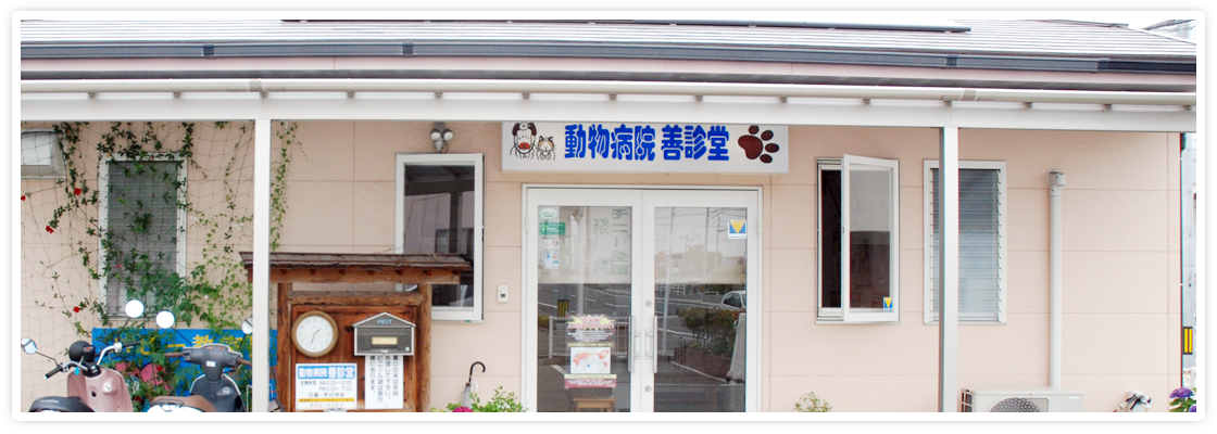 動物病院 善診堂