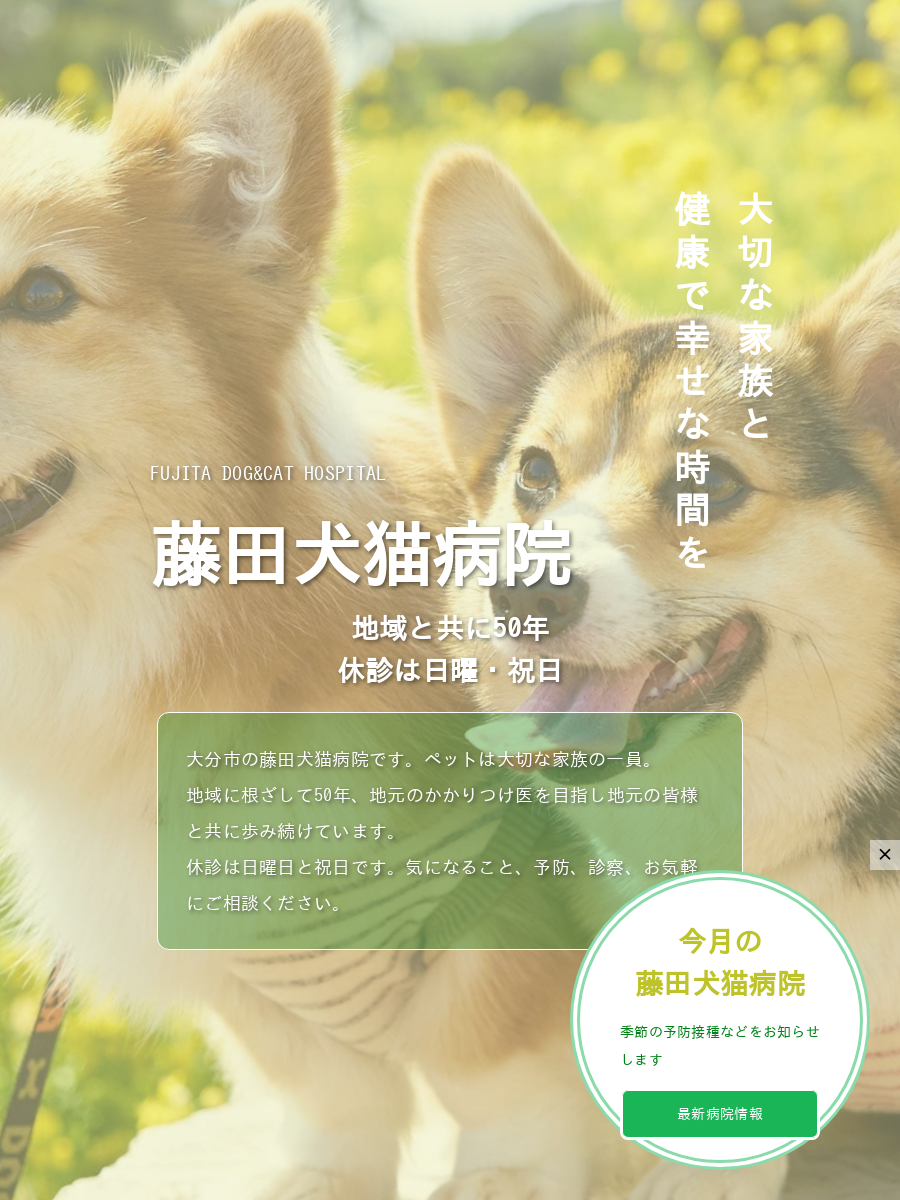 藤田犬猫病院
